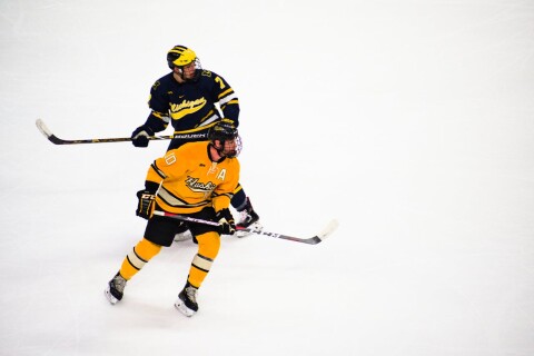 IJshockey